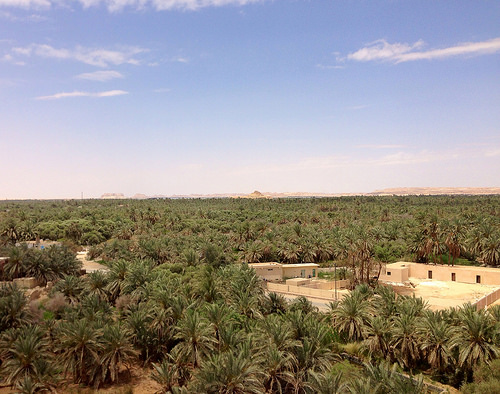 Oasi-di-Bahariya-egitto (9)